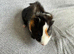 Baby male