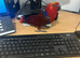 Hand Reared Female Eclectus Parrot