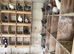 Pigeons