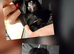 Cocker spaniels