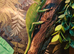 Baby veiled Chameleon