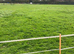 Grass livery available L40 Ormskirk