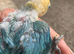 Fisher turquoise opaline lovebird DNA tested