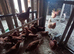 Hi brid Goldline female pullets