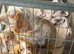 Boy and girl cocker spaniel puppy
