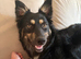 Active/working family needed for Poppy.
