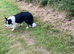 Really Beautiful Four Yr Old Male