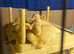 White Cherry Valley Ducklings for Sale