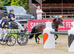 12hh Strikingly Beautiful registered Hackney Driving Pony