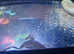 Dobby and Sock ADF and snail