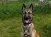 8 month Mali