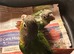 Hand Reared Green Cheeked Conures