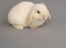 Beautiful mini lop rabbits ready now