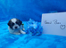 Gorgeous small F1 Malshi puppies (Maltese x Shihue