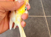 waterslager canary Hen