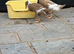 2 x ducks
