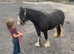 11.2 2 year old to make 12.3 filly