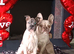 French bulldog cross shar pei