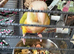 Peach green cheek Conures