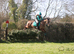 Honest bay gelding