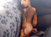 Brown boy dachshund