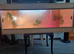 Vivarium LARGE 4 foot with electrics