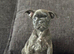 French bulldog puppies ready to go there forever homes