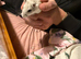 Pair of male gerbils for sale