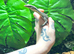 Kimberley Monitor at Birmingham Reptiles (Free Shipping over &pound;750)