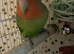 Very beautiful peach lovebird male