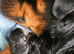 Rottweiler puppies