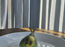 Budgies looking for new home