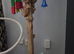 XXL PARROT JAVA TREE