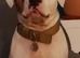 American bulldog x Staffordshire bulldog terrier