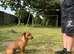 Rolo 7months