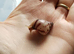Limicolaria agathina baby snails x 3