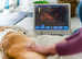 Mobile Pet Pregnancy Scanning - Devon & Cornwall