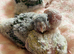 Hand-Reared Conures