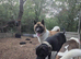 Lexi is looking for a new home