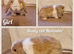Mini lop kits to reserve.vetchecked&vaccinated