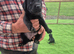 Beautiful litter of Labradors