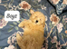 Cockpaoo puppies available now