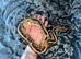 Female Orange dream pied royal python