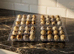 12 Fresh Japanese Coturnix quail incubator hatching eggs