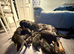 9 beautiful babies