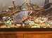 Pink bellied sliders