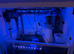 Mixed Marine fish, Invertebrates, corals, plants, rock and substrate