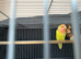 Baby Lutino lovebird