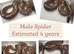 A selection of available rescue snakes