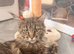 Beautiful girl looking for peaceful home